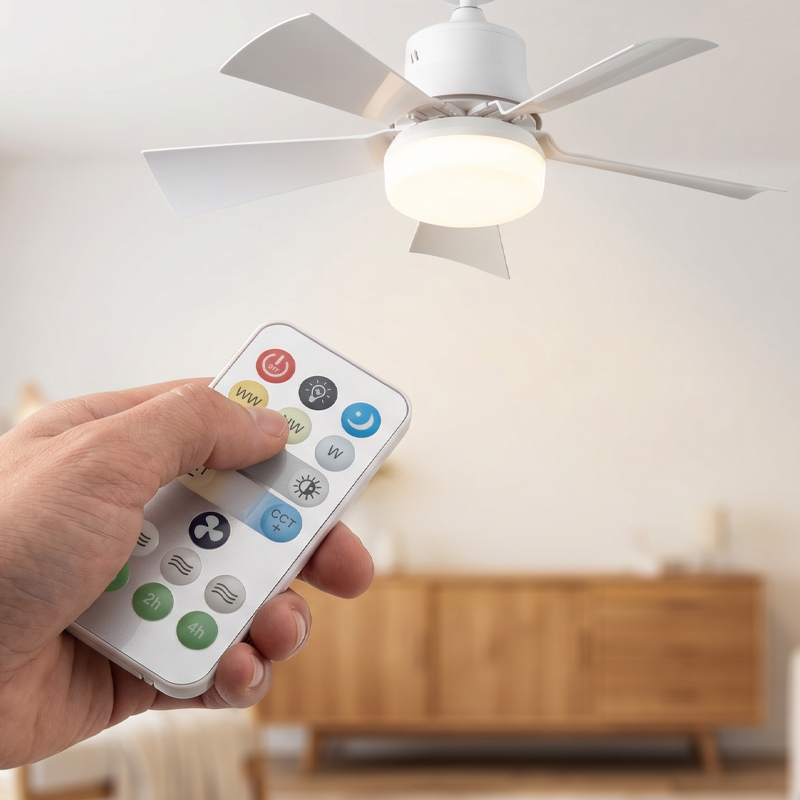 Ventilateur LED HOMEVA